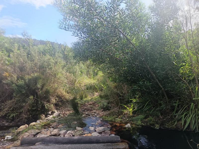 0 Bedroom Property for Sale in Napier Western Cape